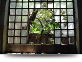 Maison de France - Voor acrylglas Abandoned places colletion -1 - plexiglas - 80 x 120 cm
