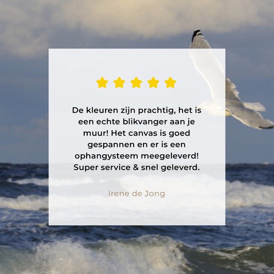 Seagull over the Baltic Sea canvas 120x80 cm - Tirage photo sur toile (Décoration murale salon / chambre) / Mer et plage