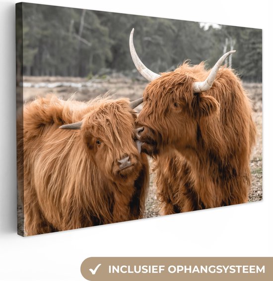 Canvas Schilderij Schotse hooglander - Dieren - Bos - 90x60 cm - Wanddecoratie