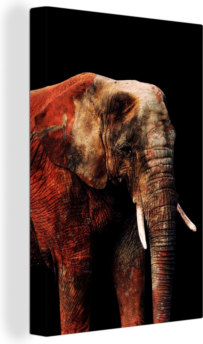 Éléphant avec des éléments de couleur sur fond noir 40x60 cm - Tirage photo  sur toile