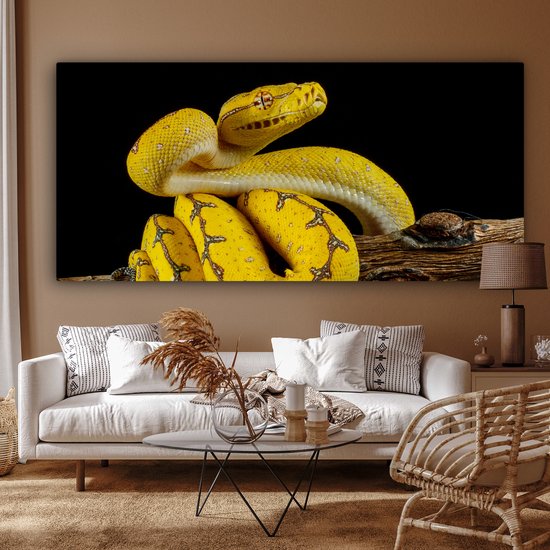 Tableau Peinture Serpent - Branche - Jaune - 160x80 cm - Décoration murale