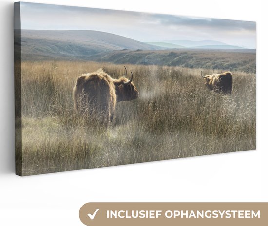 Peinture sur toile Highlanders écossais - Brouillard - Herbe - 40x20 cm - Décoration murale