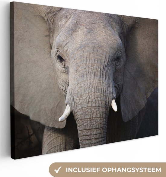 Canvas Schilderij Close-up van een olifant - 40x30 cm - Wanddecoratie