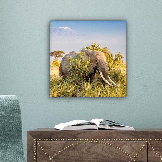 Tableau Toile Éléphant - Animaux - Herbe - Vert - Berg - 20x20 cm - Décoration Murale