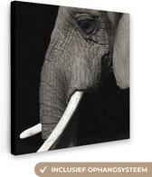 Canvas Schilderij Olifant - Dier - Slagtand - 50x50 cm - Wanddecoratie