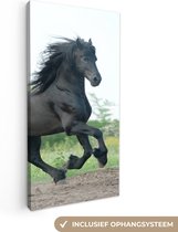 Canvas Schilderij Paard - Zwart - Natuur - 40x80 cm - Wanddecoratie