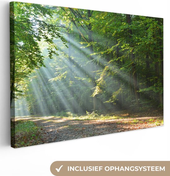 Zonnestralen op een bosweg, met tekst 'INCLUSIEF OPHANGSYSTEEM'.
