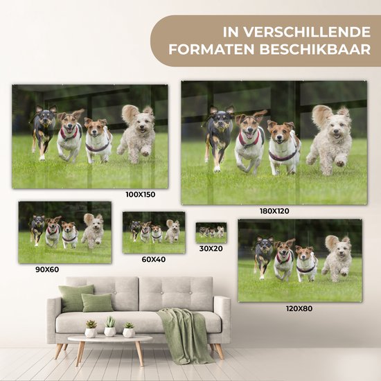 MuchoWow® Peinture sur verre 180x120 cm - Peinture sur verre acrylique - Un groupe de chiots courant à travers un champ - Photo sur verre - Peintures