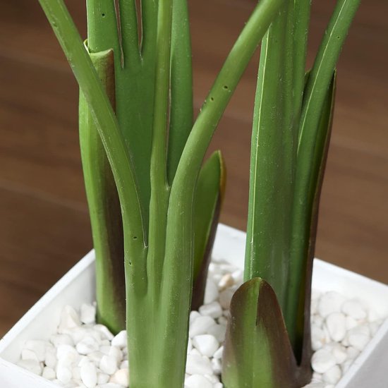 Tropische vibes in huis: Paradijsvogelplant & Pachira plant stylen