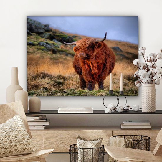 Canvas Schilderij Schotse Hooglander - Gras - Stenen - 80x60 cm - Wanddecoratie