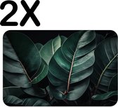 BWK Stevige Placemat - Groene Bladeren met Donkere Shaduw - Set van 2 Placemats - 45x30 cm - 1 mm dik Polystyreen - Afneembaar
