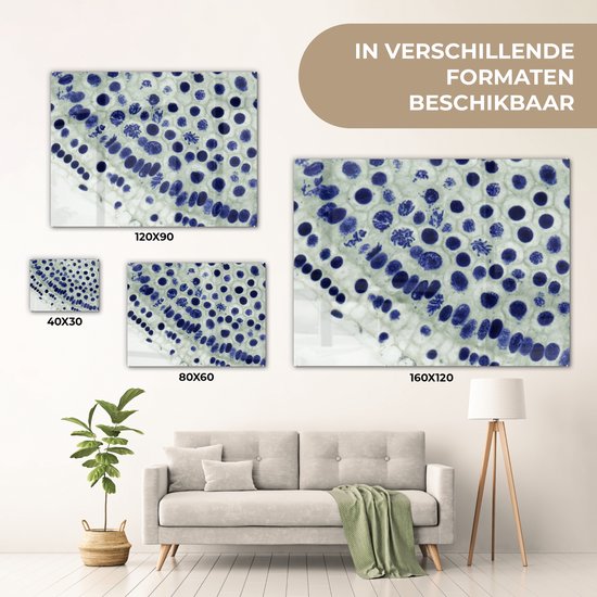 Peinture sur verre - Cellules bleues sous le microscope - 80x60 cm - Peintures sur Verre Peintures - Photo sur Glas