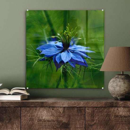 Peinture sur verre MuchoWow® 50x50 cm - Peinture acrylique sur verre - Une fleur de nigelle dans un environnement verdoyant - Photo sur verre - Peintures