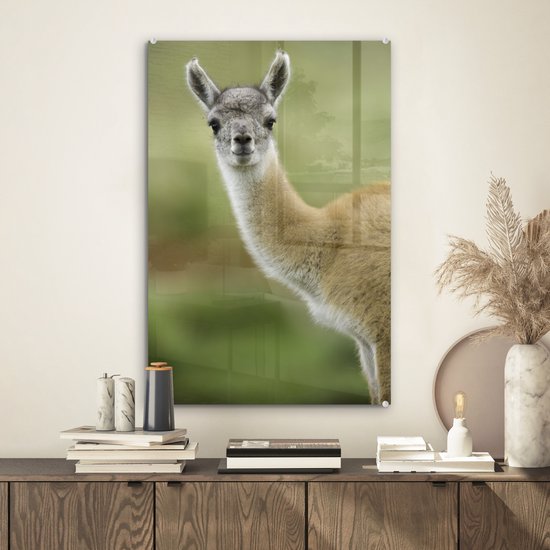 MuchoWow® Peinture sur verre 40x60 cm - Peinture sur verre acrylique - Lama - Animaux - Portrait - Photo sur verre - Peintures