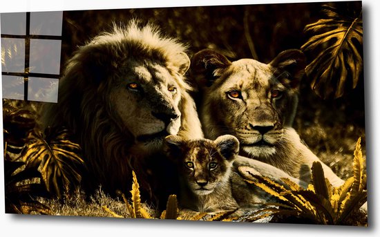 Lion family 4 60x40 plexiglas 5mm