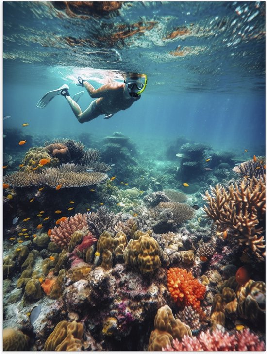 Poster Glanzend – Oceaan - Zee - Vissen - Koraal - Snorkelen - Kleuren - 30x40 cm Foto op Posterpapier met Glanzende Afwerking