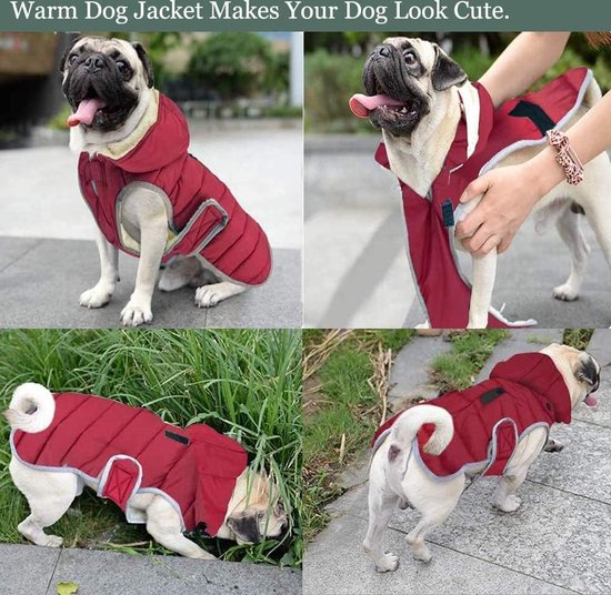 Manteau imperméable pour chien réfléchissant veste avec capuche 3