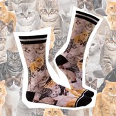 Sock My Feet Cat - Grappige sokken dames - Maat 39-42 - Moederdag cadeautje - katten - Vrolijke sokken - Leuke sokken - Fashion statement - Gekke sokken - Grappige cadeaus - Socks First.