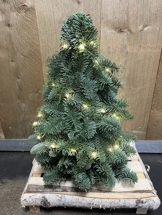 Nobilis Kerstboom -Met verlichting - 50CM - Mini Kerstboompje - Handgemaakt - Vers Groen - Nobilis -