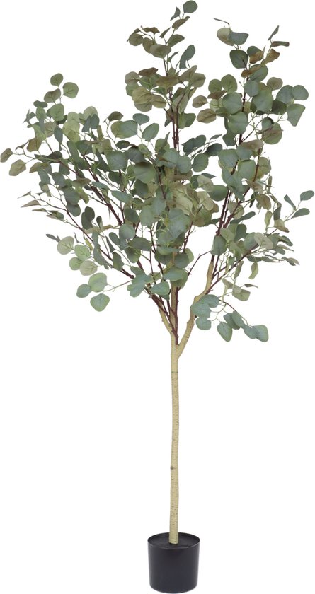 Eucalyptus Kunstboom - 160cm hoog | Eucalyptus Kunstboom Groen | Eucalyptus Kunstboom voor Binnen