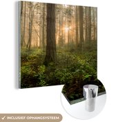 MuchoWow® Glasschilderij 50x50 cm - Schilderij acrylglas - Bos - Zon - Licht - Foto op glas - Schilderijen