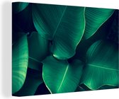 Canvas Schilderij Planten - Tropisch - Blad - 90x60 cm - Wanddecoratie