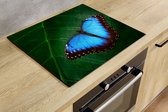 Inductiebeschermer - Blauwe Vlinder - 59x52 cm - Inductiebeschermer - Inductie Afdekplaat Kookplaat - Inductie Mat - Anti-Slip - Keuken Decoratie - Keuken Accessoires