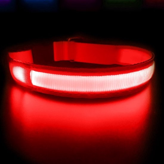 Velox Lichtgevende Halsband - voor uw Hond - met LED Verlichting - USB Oplaadbaar - 60x2.5 cm - Rood