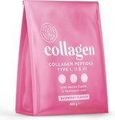 Alpha Foods Collageen poeder met Hyaluronzuur & Elastine - Collagen peptides type 1, 2 en 3 van weidebouw, Collagen drink zonder toevoegingen, Collageen supplement van 400 gram voor 26 shakes of porties, met Framboos smaak