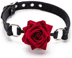 ball gag roos - kinky - bdsm - beperkingen