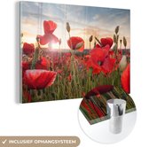Peinture sur Verre - Coucher de Soleil derrière les Coquelicots - 120x80 cm - Peintures sur Verre Peintures - Photo sur Glas