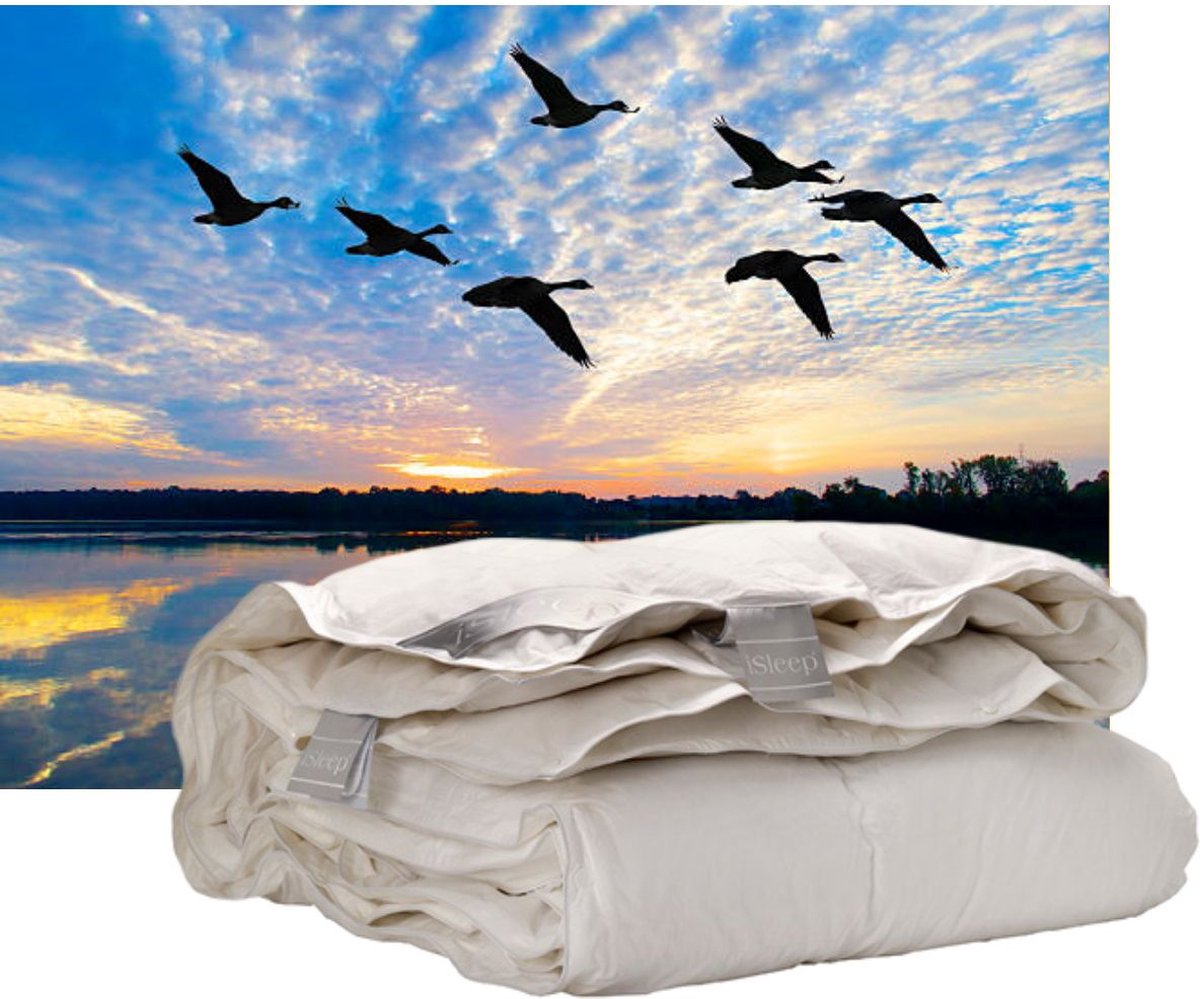 iSleep Donzen 4-Seizoenen Dekbed - 100% Eendendons - Litsjumeaux - 240x200 cm