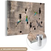Image de guêpiers verts Plexiglas 60x40 cm - Tirage photo sur Glas (décoration murale plexiglas)