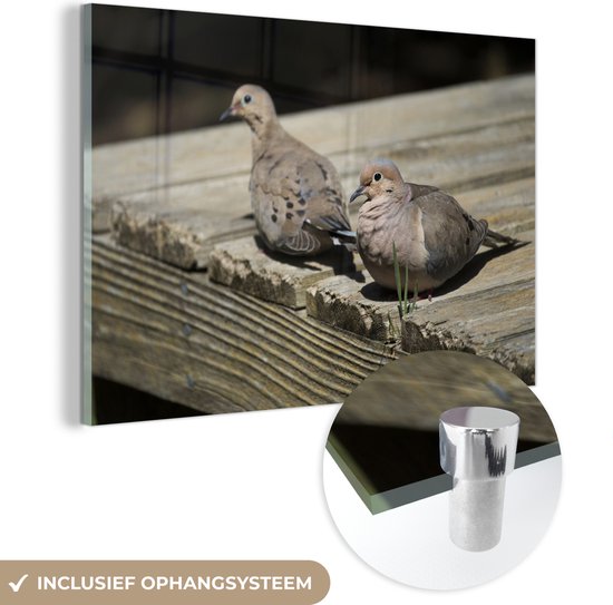 MuchoWow® Glasschilderij 90x60 cm - Schilderij acrylglas - Tortelduif - Hout - Vogel - Foto op glas - Schilderijen