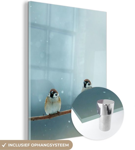 MuchoWow® Glasschilderij 30x40 cm - Schilderij acrylglas - Vogels - Mus - Sneeuw - Winter - Foto op glas - Schilderijen
