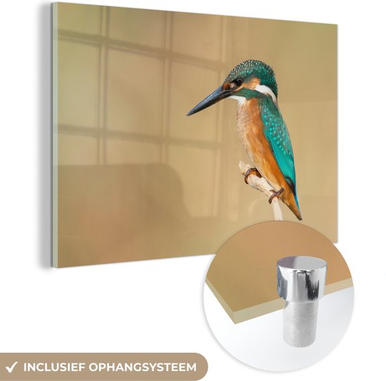 MuchoWow® Glasschilderij - IJsvogel - Dieren - Vogel - Acrylglas Schilderijen - Foto op Glas