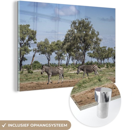 MuchoWow® Glasschilderij 30x20 cm - Schilderij acrylglas - Landschap met zebra's in het Nationaal park Chobe - Foto op glas - Schilderijen