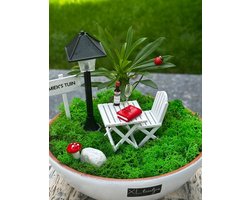 XL Tuintjes | Gefeliciteerd S-II | Handgemaakte Persoonlijke Miniatuurtuinen | Flower gift | Miniatuur Brief | Uniek cadeau | XLTuintjes | Bloemen | Gepersonaliseerd Cadeau