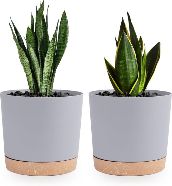Bloemplug roest konijn decoratie 7,5 cm×11,5 cm 6 st