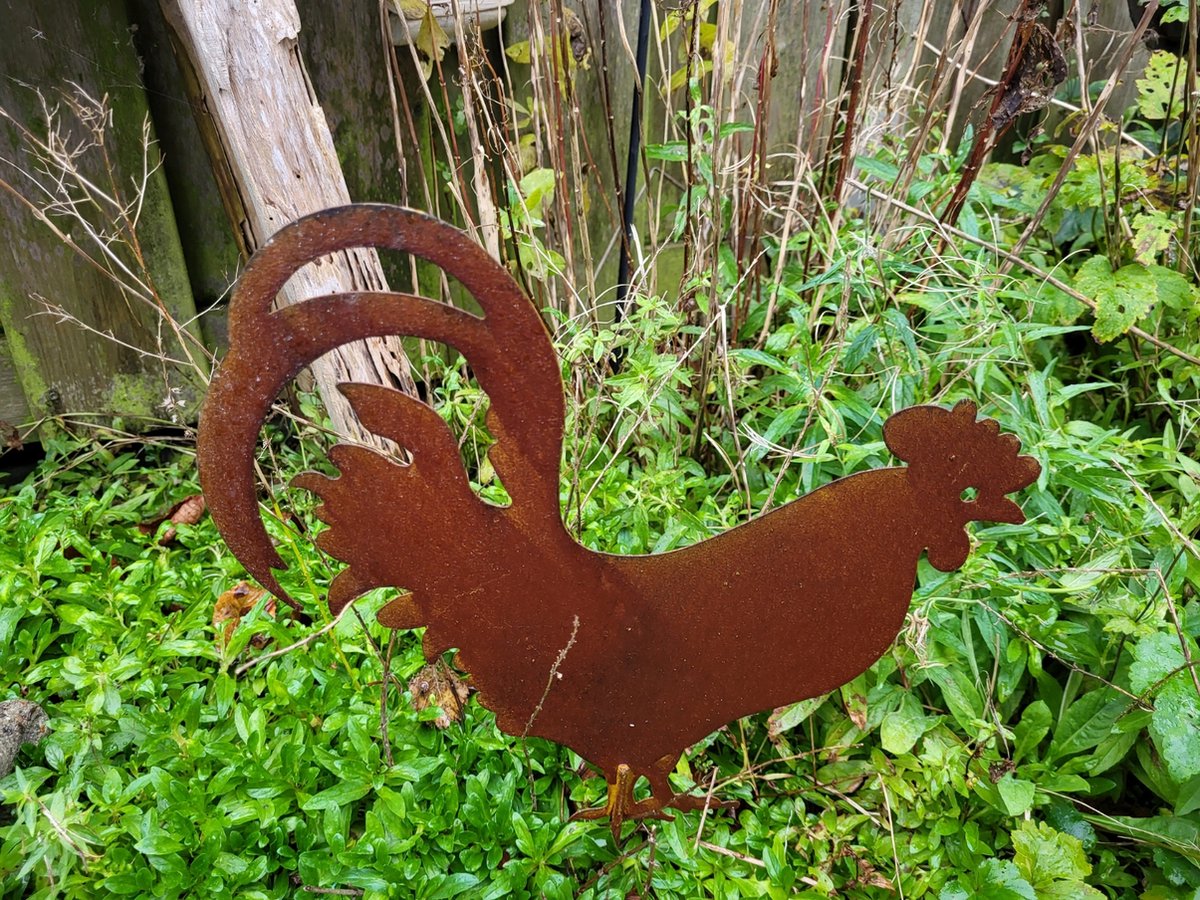 Cortenstaal Tuindecoratie Kopen | Metalbirds & Dieren