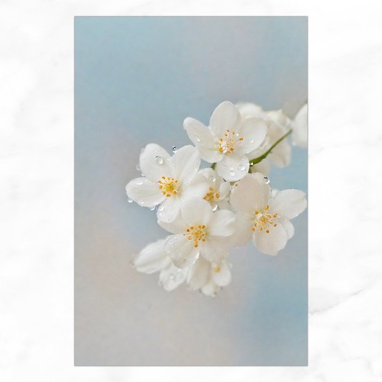 De Muurdecoratie - Witte Bloemen Met Waterdruppels - Bloemen Schilderijen Op Canvas - 40x60 cm - Muurdecoratie Landelijk - Decoratie Woonkamer - Wanddecoratie