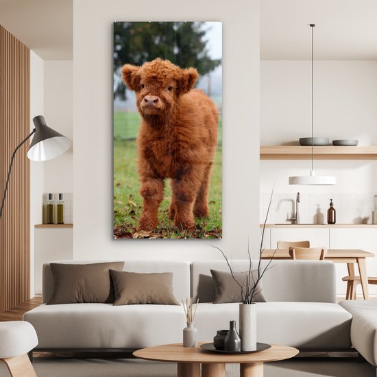 MuchoWow® Peinture sur verre 80x160 cm - Peinture sur verre acrylique - Highlander écossais - Veau - Herbe - Photo sur verre - Peintures