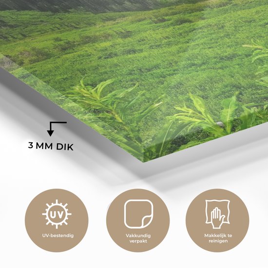 MuchoWow® Peinture sur verre 30x20 cm - Peinture sur verre acrylique - Montagnes de couleur verte dans le parc national américain des Glaciers - Photo sur verre - Peintures