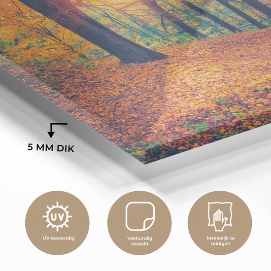 MuchoWow® Glasschilderij 90x60 cm - Schilderij acrylglas - Bomen - Herfst - Bos - Herfstbladeren - Foto op glas - Schilderijen
