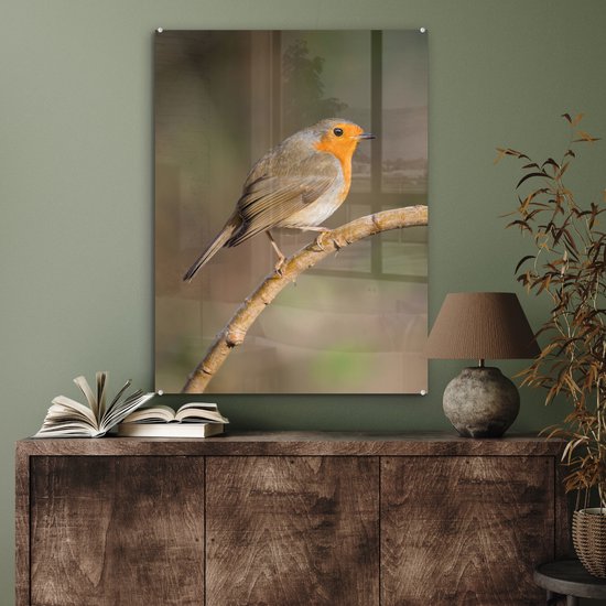 MuchoWow® Glasschilderij 60x80 cm - Schilderij acrylglas - Roodborstje - Vogel - Natuur - Foto op glas - Schilderijen