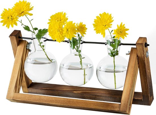 Plante avec support en bois, pot de fleurs en verre, support