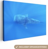 Canvas Schilderij Een Walvishaai in een heldere oceaan - 90x60 cm - Wanddecoratie