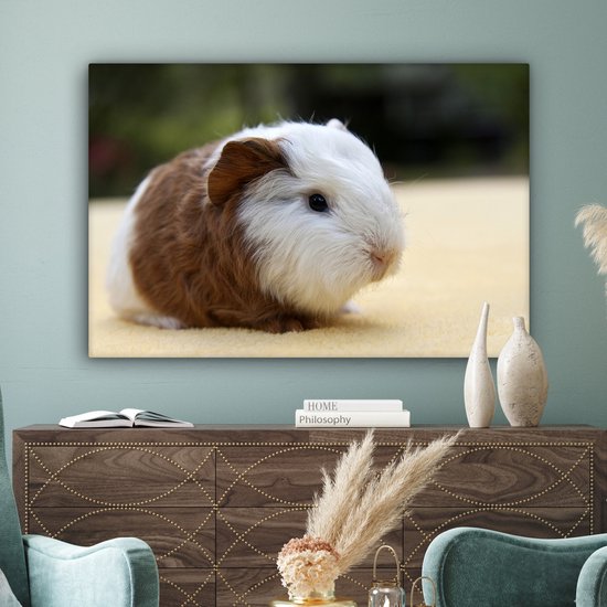 Peinture sur toile Jeune cochon d'Inde - 140x90 cm - Décoration murale