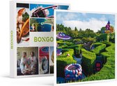 Bongo Bon - DISNEYLAND® PARIS: REGULAR-TICKETS VOOR 2 PERSONEN EN 1 KIND (2 PARKEN) - Cadeaukaart cadeau voor man of vrouw