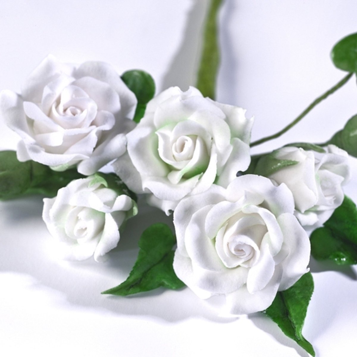 Renshaw Flower & Modelling Paste - Wit - 250g